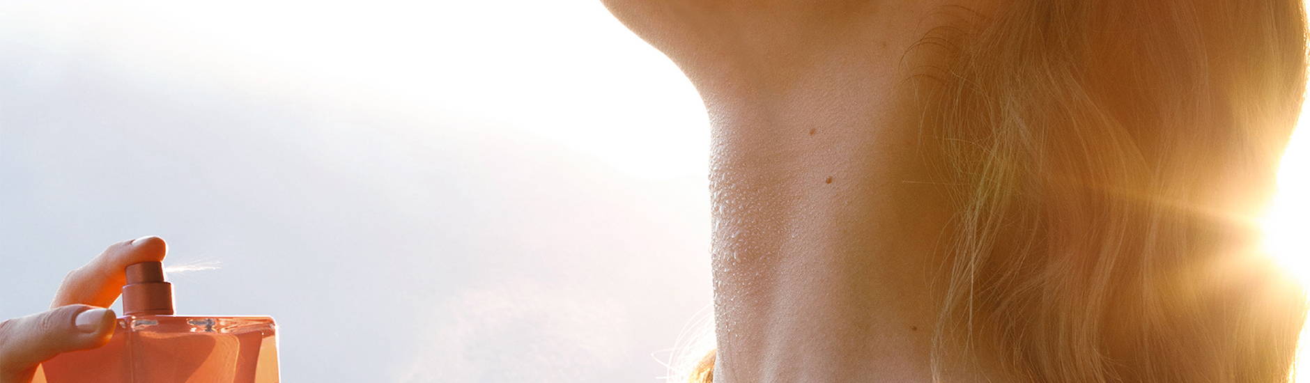 The Scent of the Sun