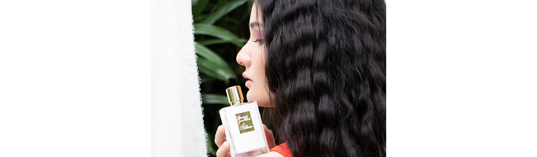The Fragrance I Wear