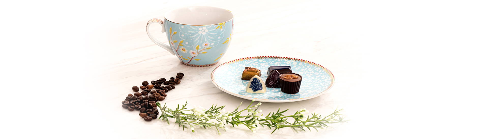 The Chocolate Journey