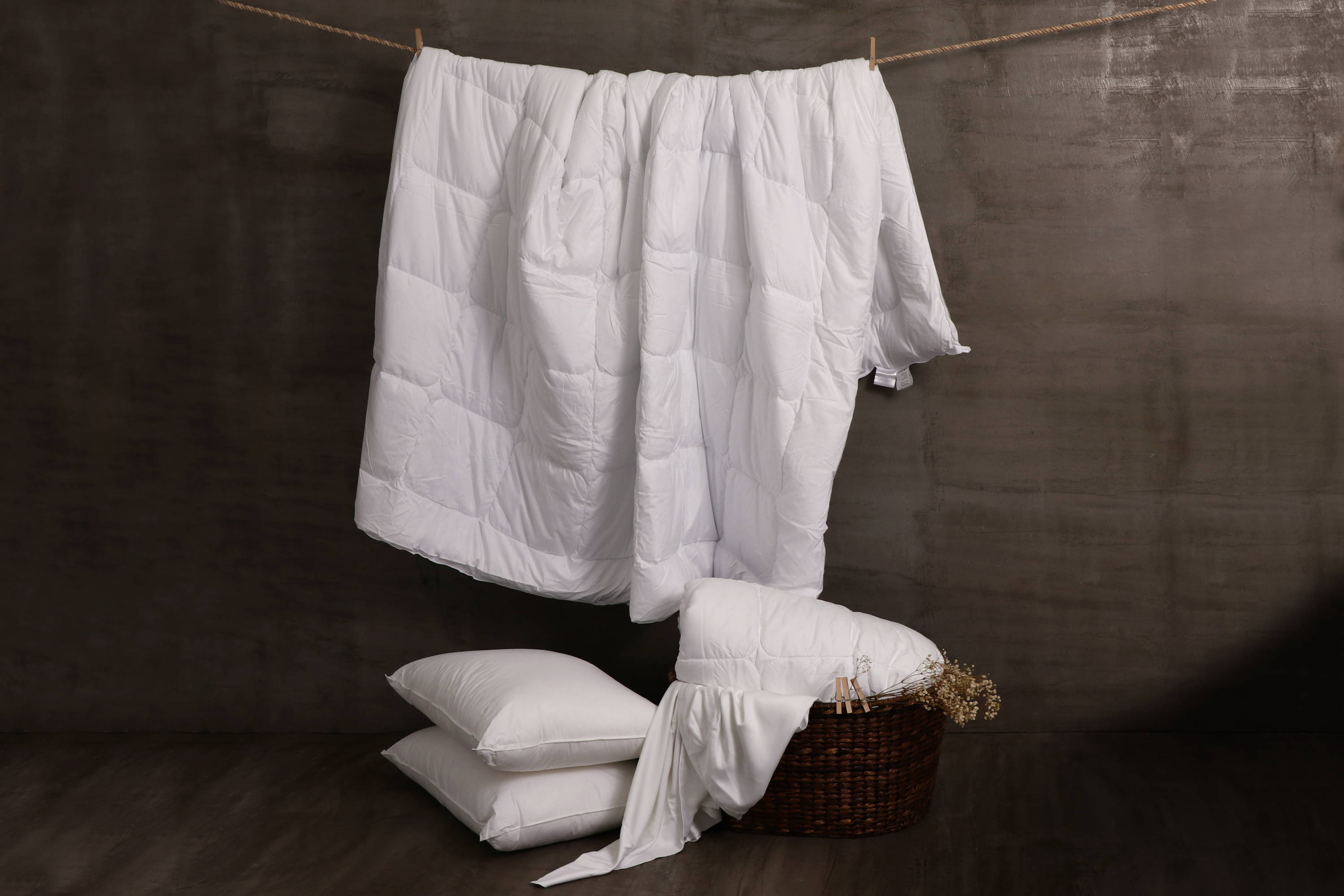 Bed Basic