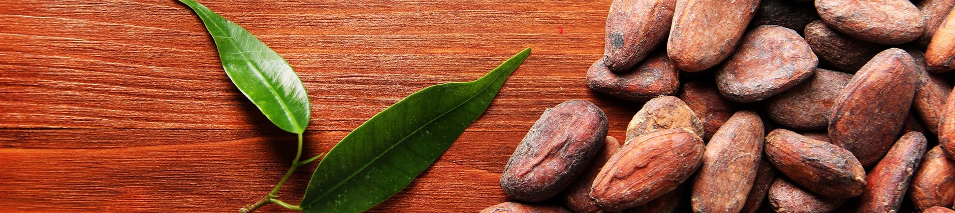 Palmer's – Rustans.com