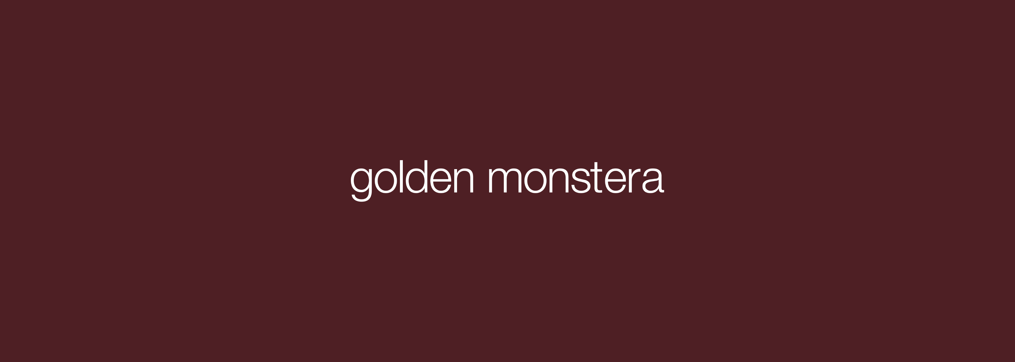 Golden Monstera