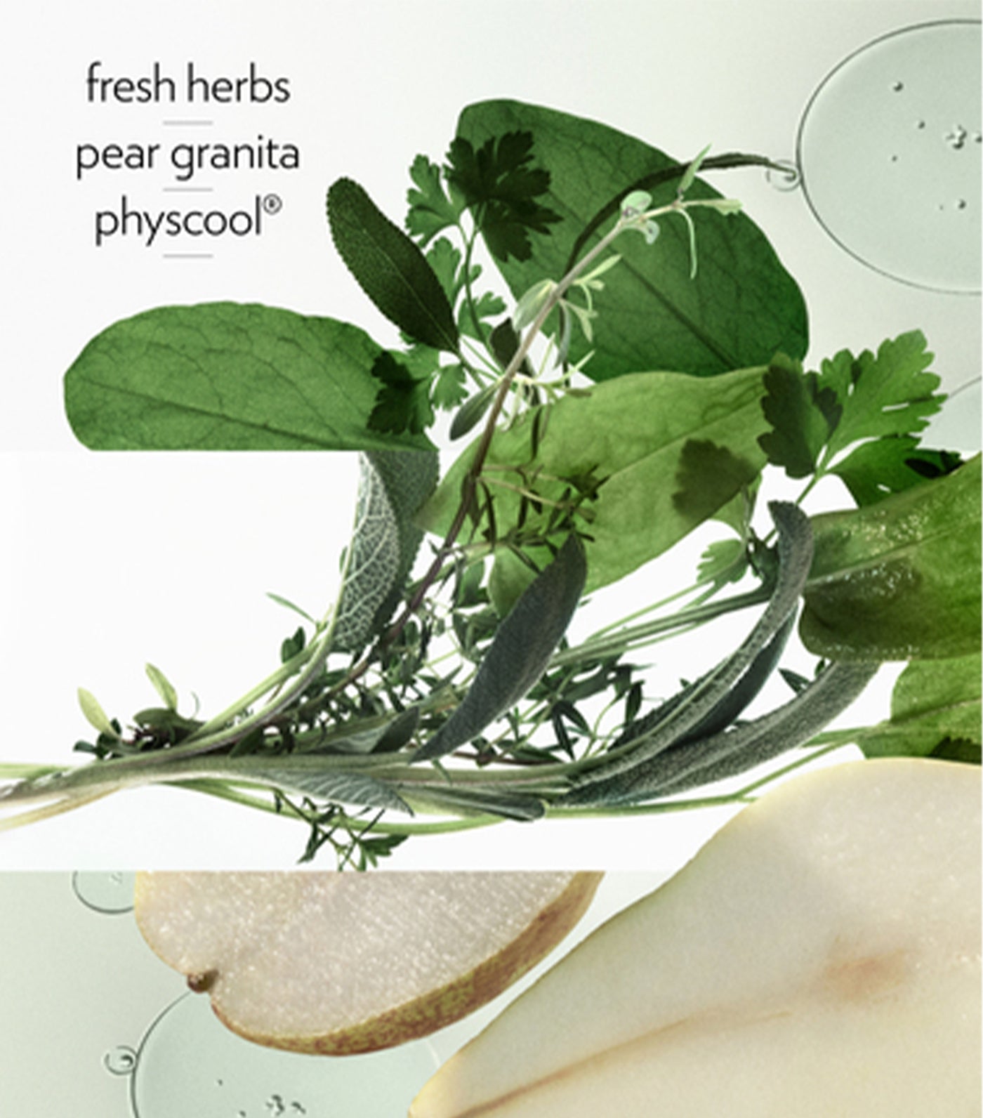 H24 Herbes Vives, Eau de Parfum