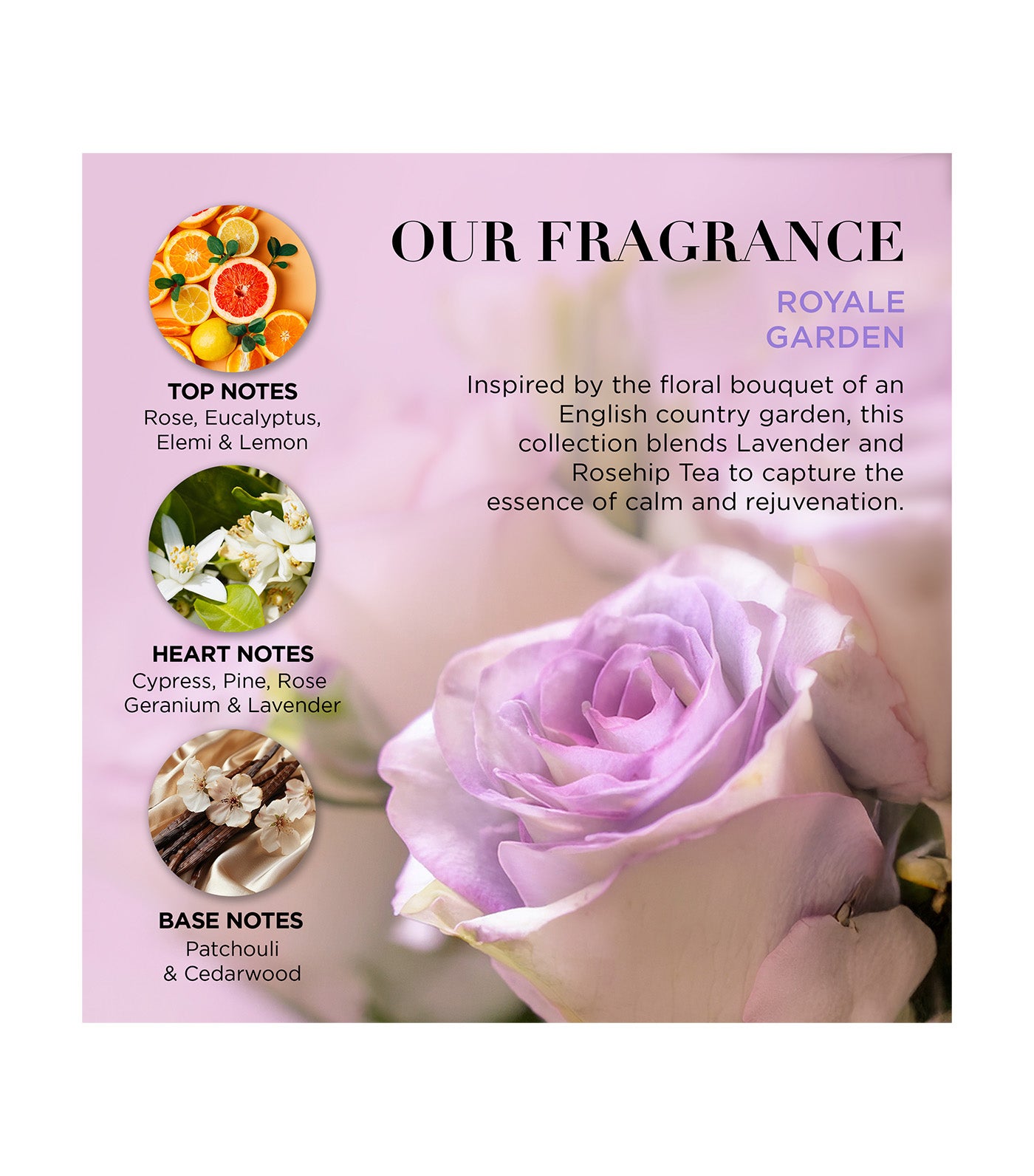 Royale Garden Luxury Pamper Keepsake Tin Gift Set