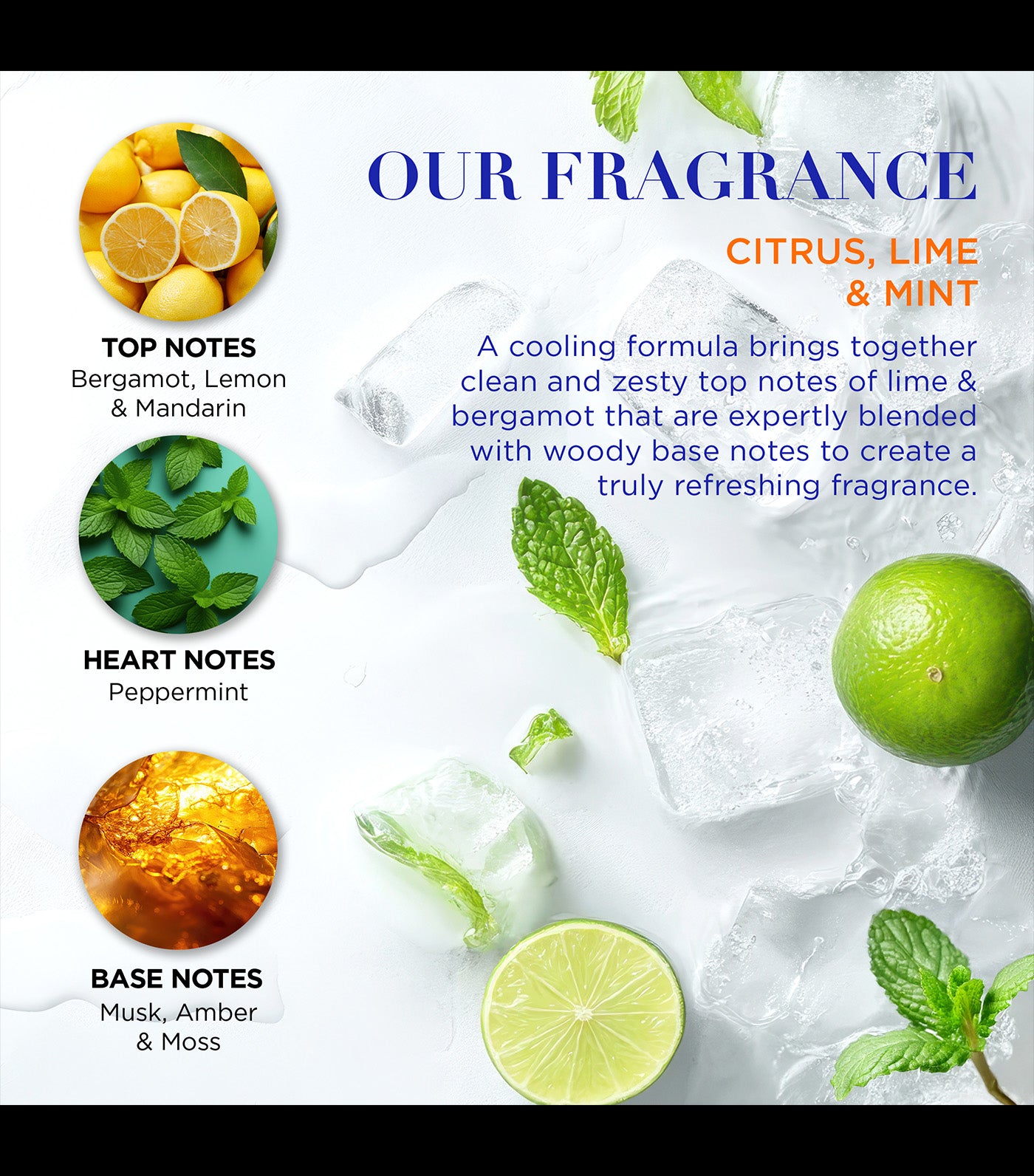 Citrus, Lime & Mint Men's Refreshing Travel Essentials Gift Set