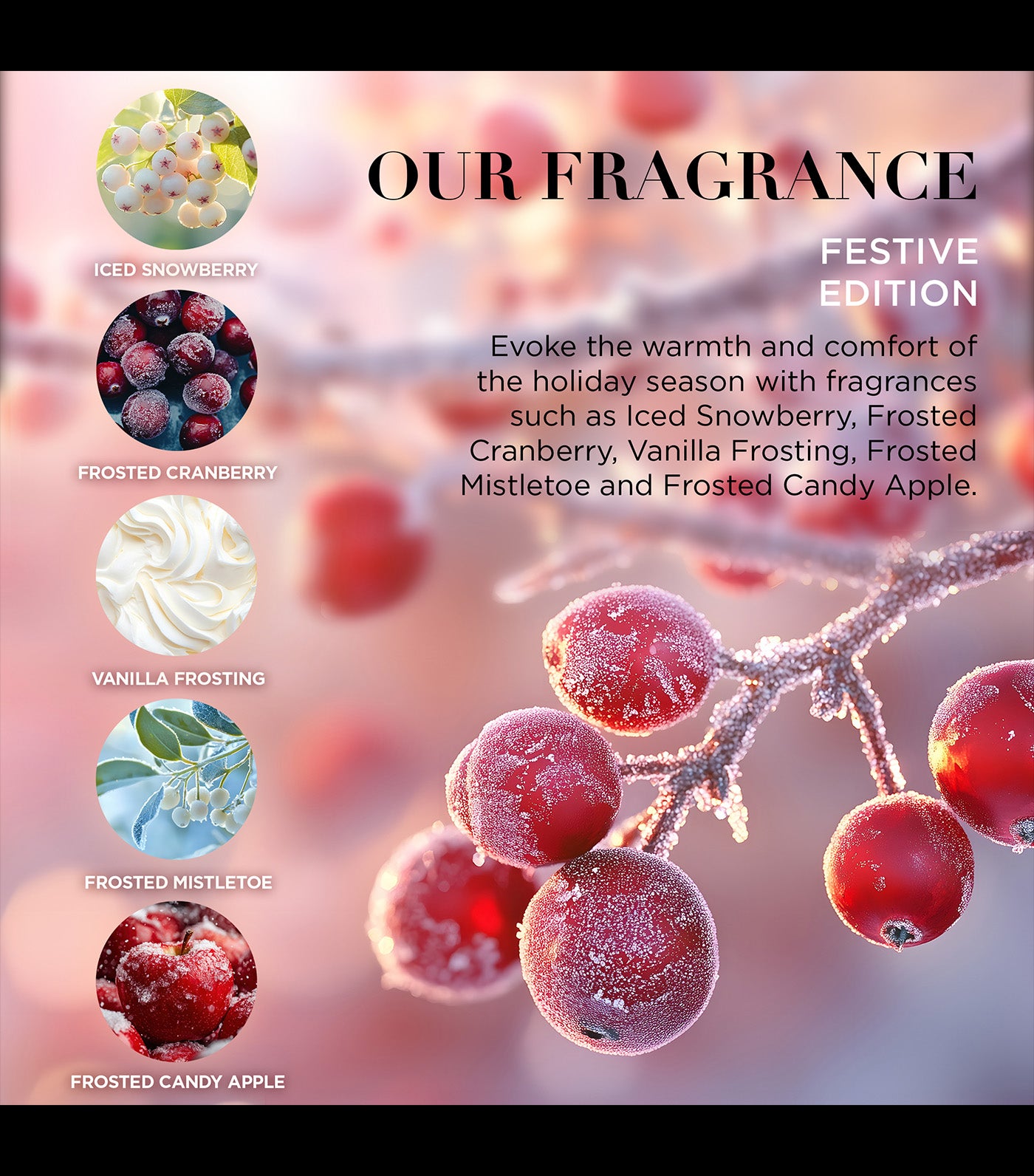 Festive Edition Luxury Assorted Bathing Gift Set