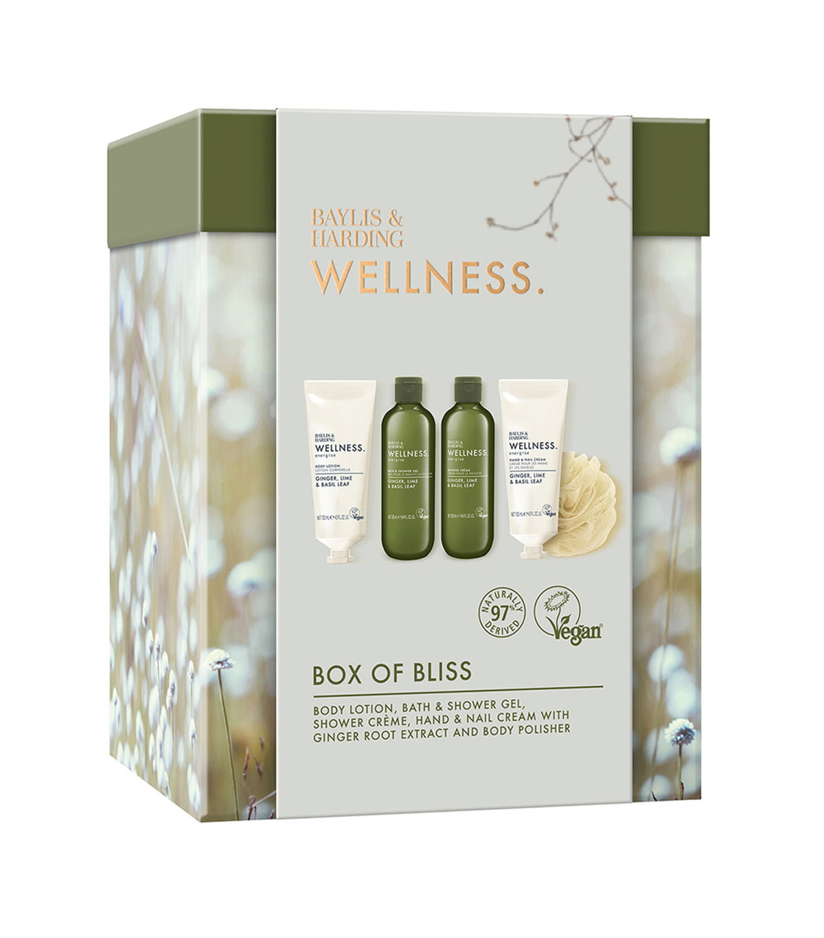 Wellness Box of Bliss Gift Set