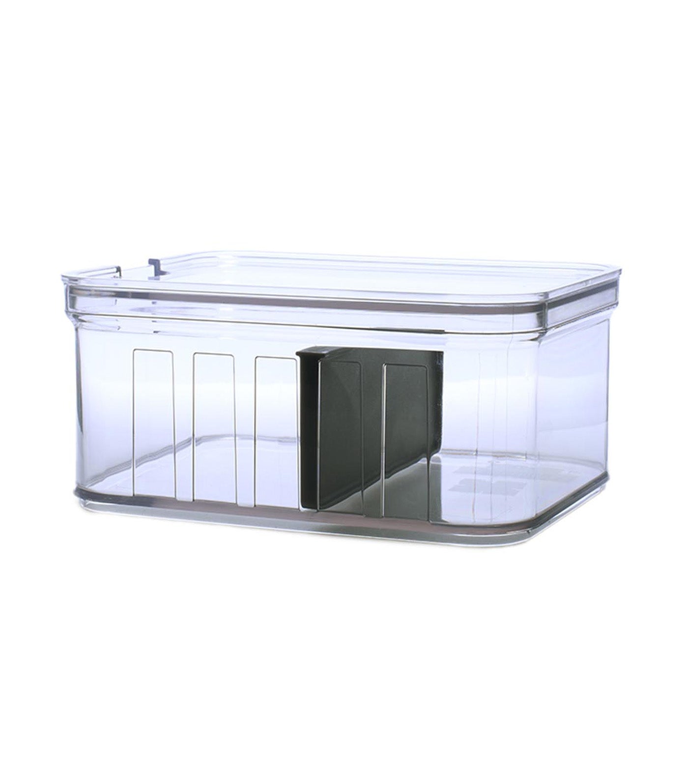 Crisp Small Divided Bin Clear/Gray.