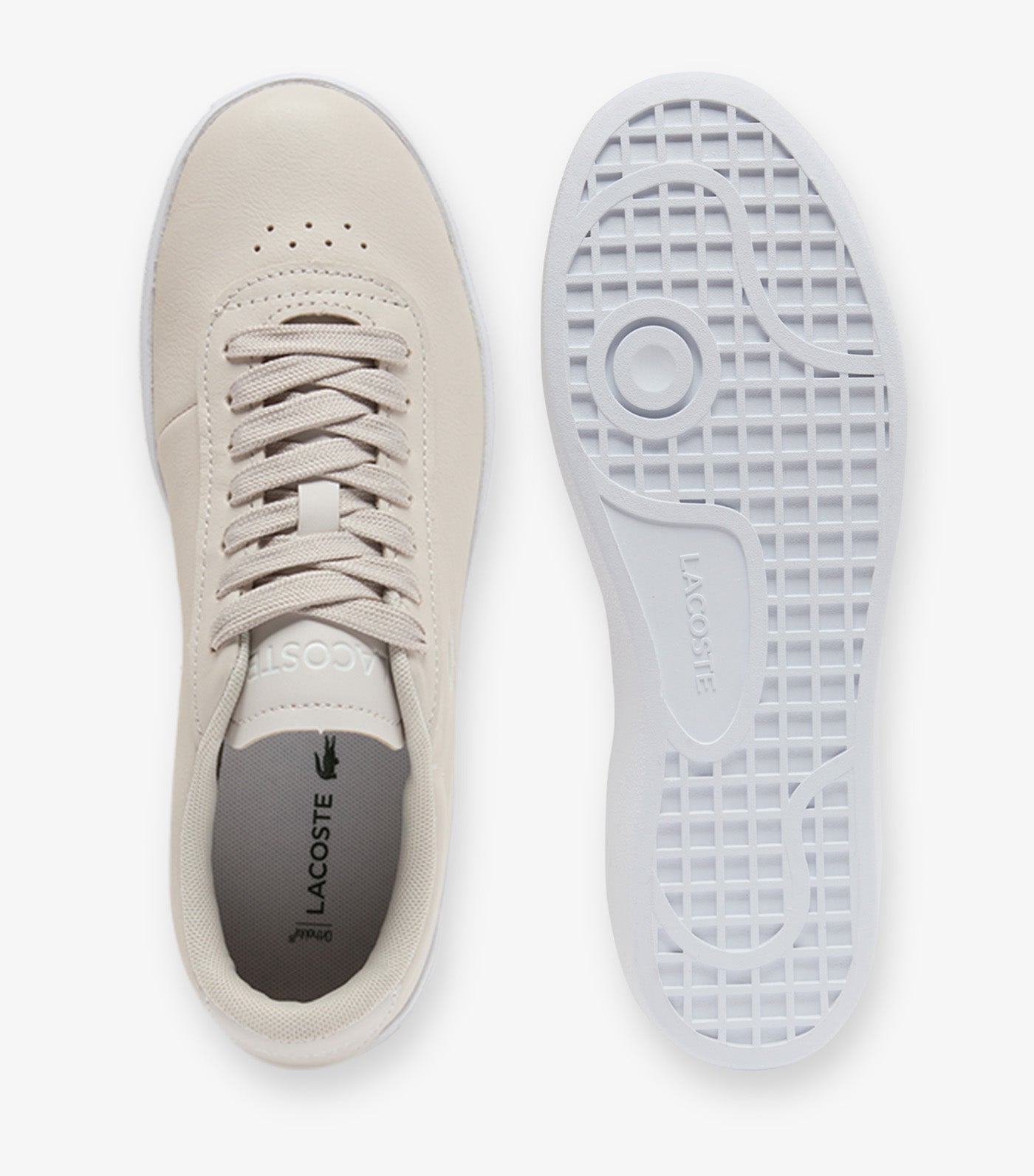 Women's Baseshot Evo Leather Sneakers