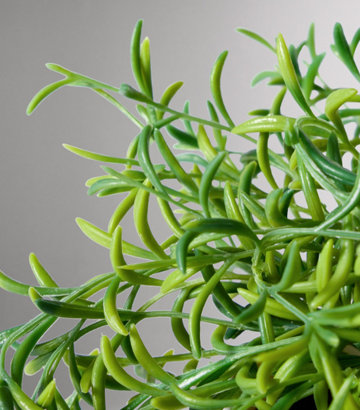 Faux Potted Drippy Plant Green
