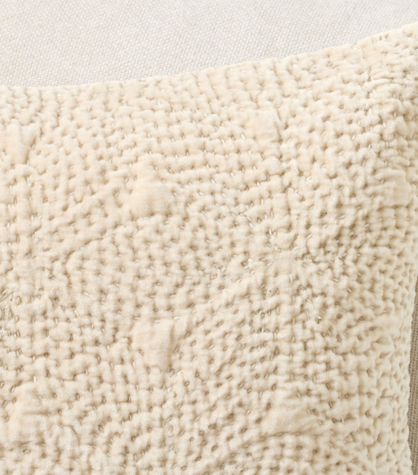 Follette Velvet Pillow