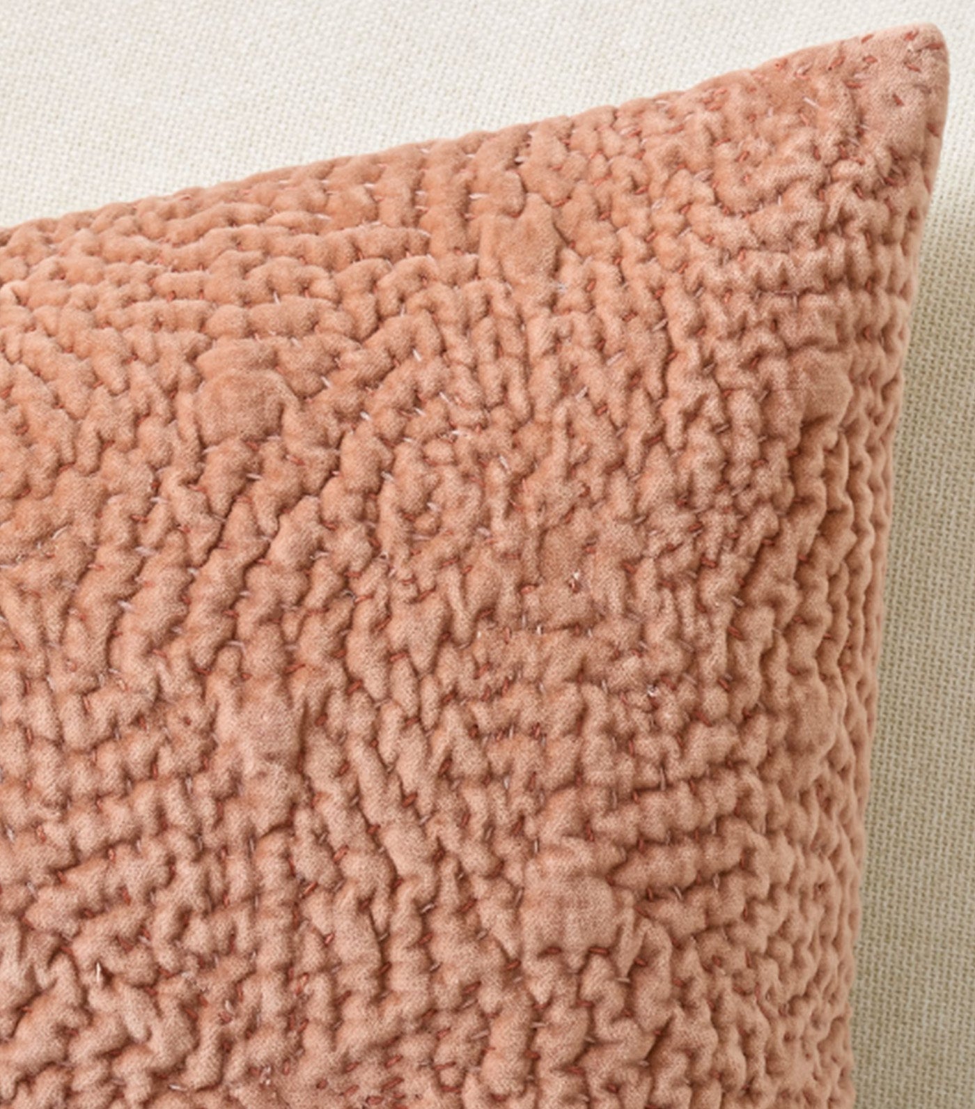 Follette Velvet Pillow