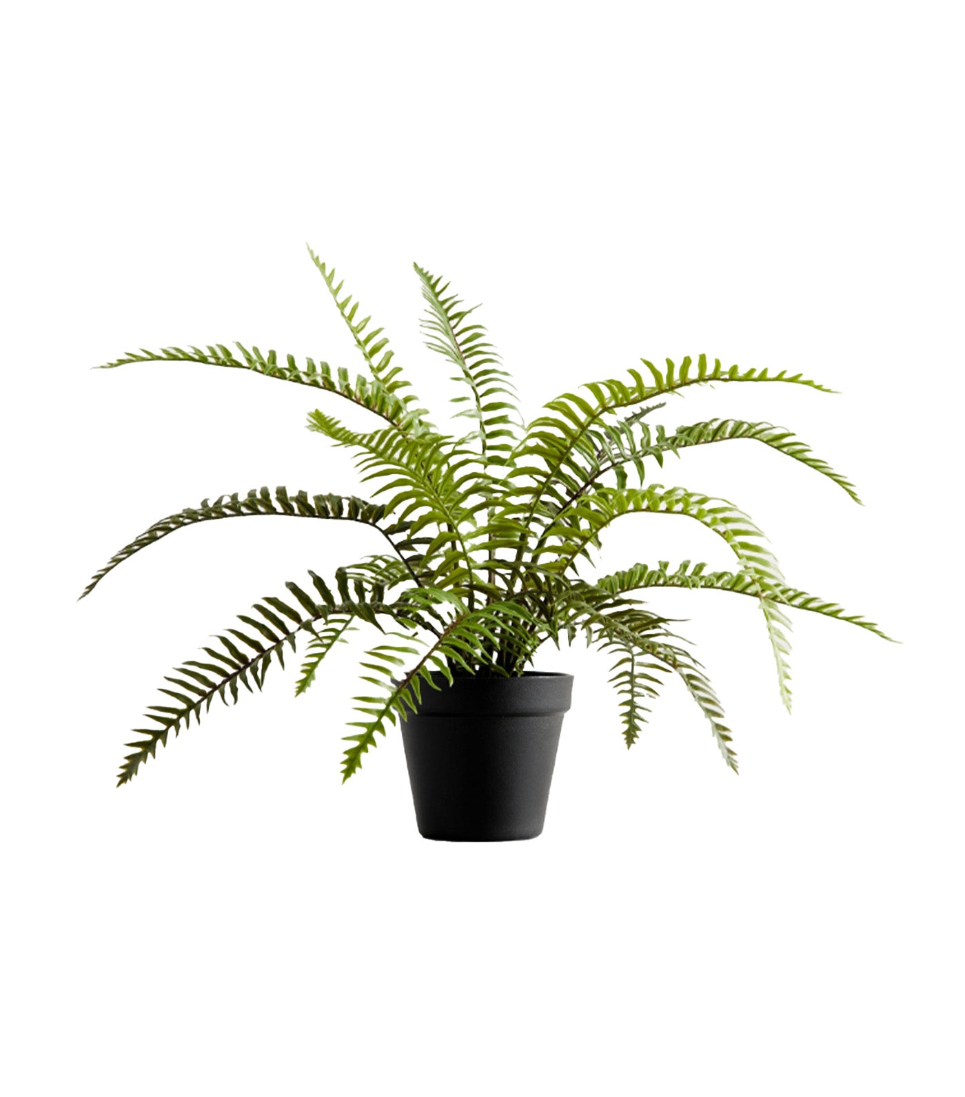 Faux Potted Wild Fern