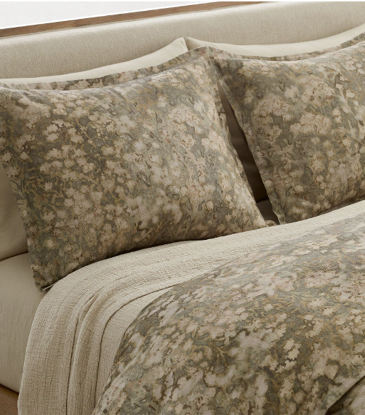 Abstract Hydrangea Shams Vetiver Green