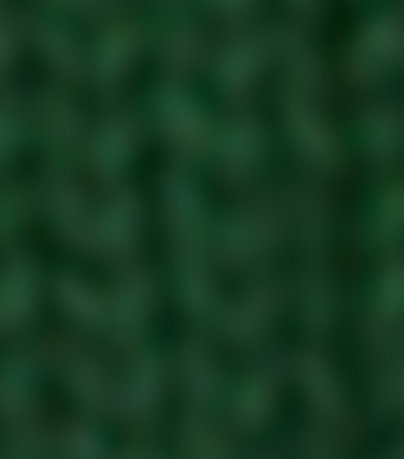 Lacoste 2-Pack Ribbed Cotton Socks Green/White/Navy Blue