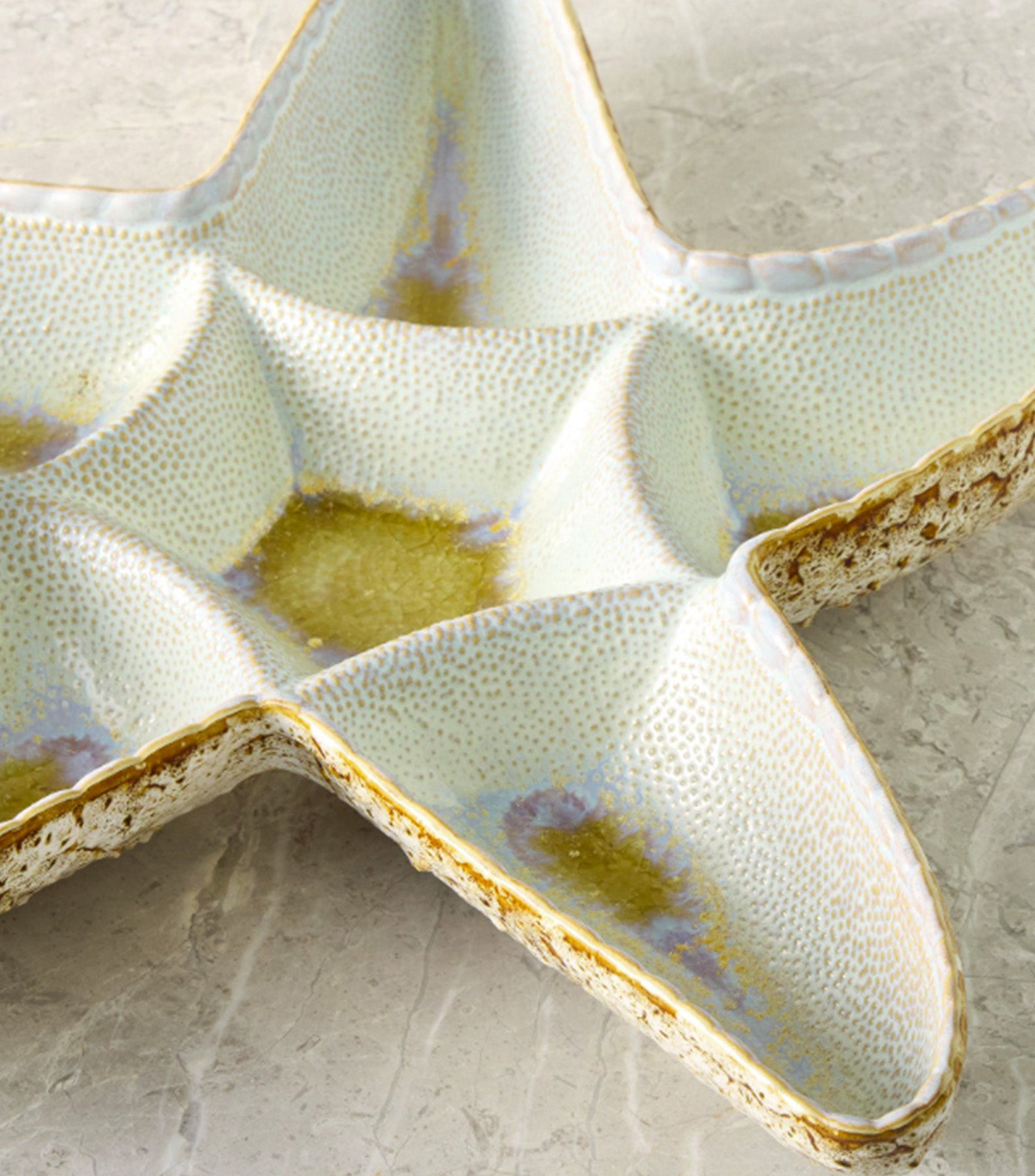 Seashell Stoneware Serveware Collection