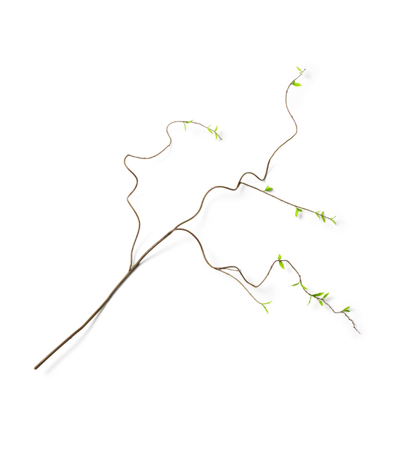 Faux Curvy Willow Branch Multi