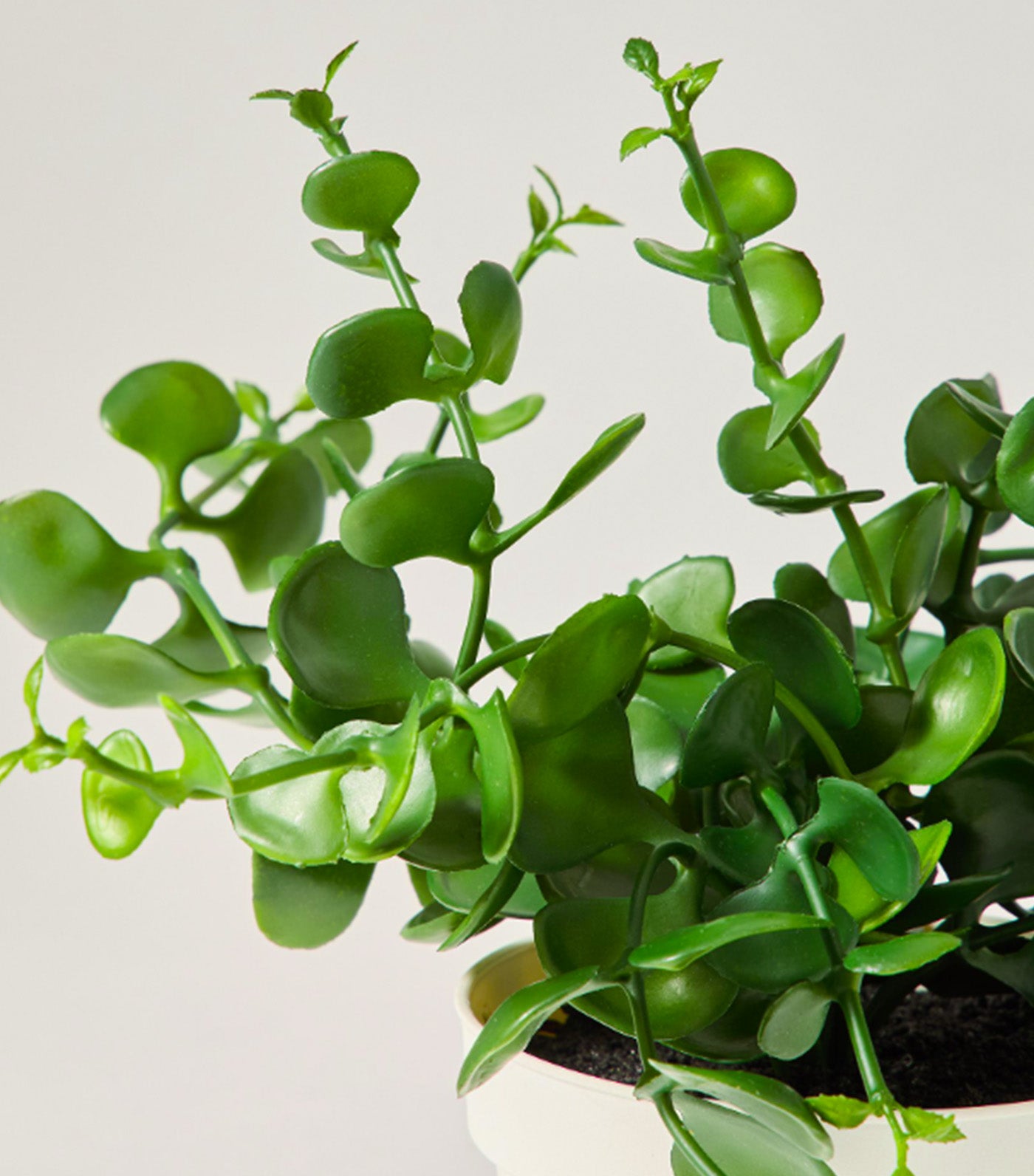 Faux Eucalyptus Potted Plant