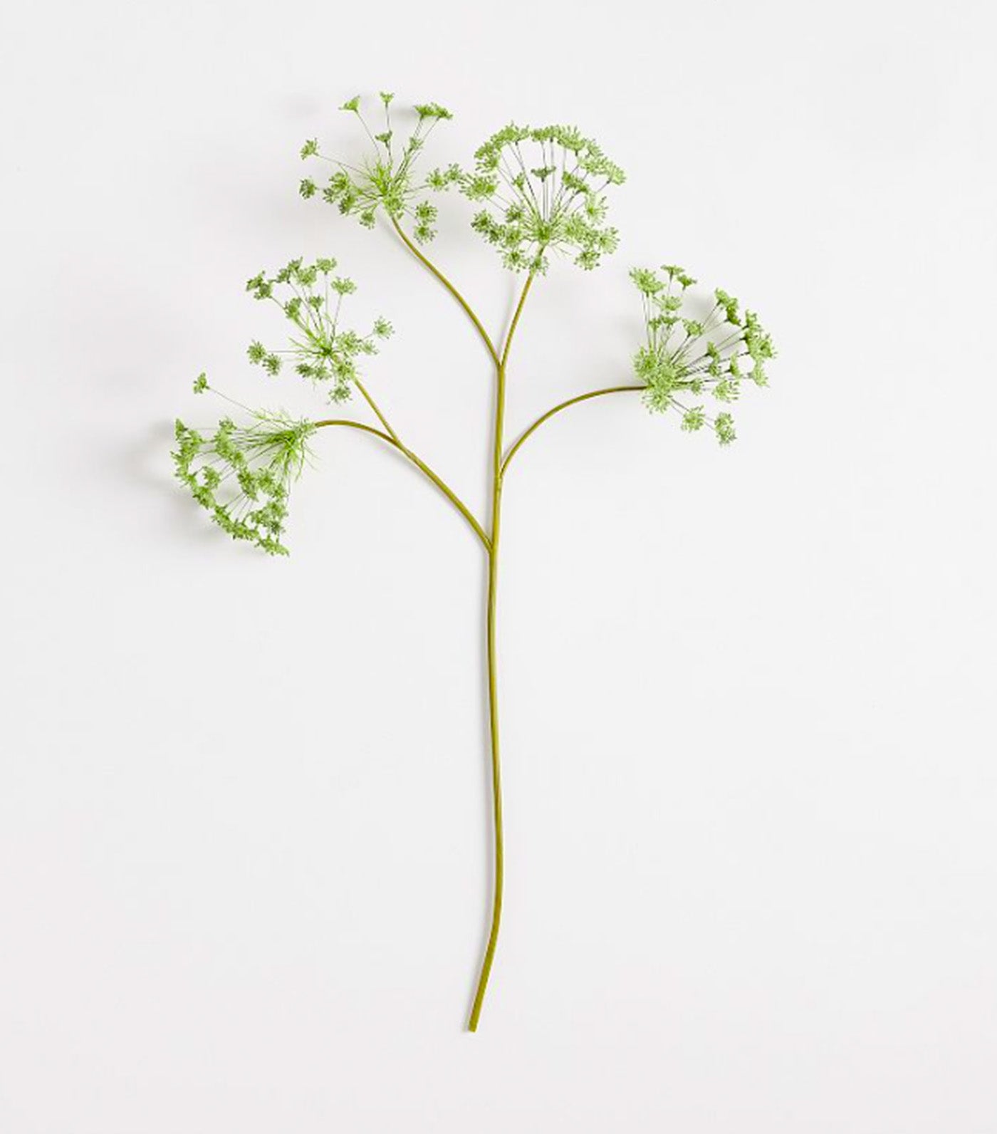 Faux Oversized Queen Anne's Lace Branch