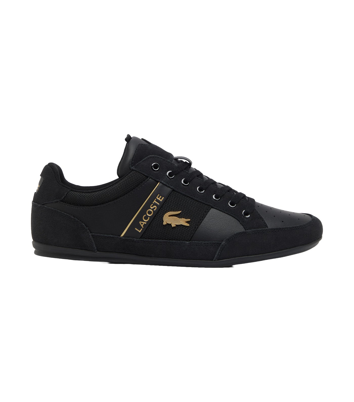 Men's Chaymon Suede Sneakers Black/Gold