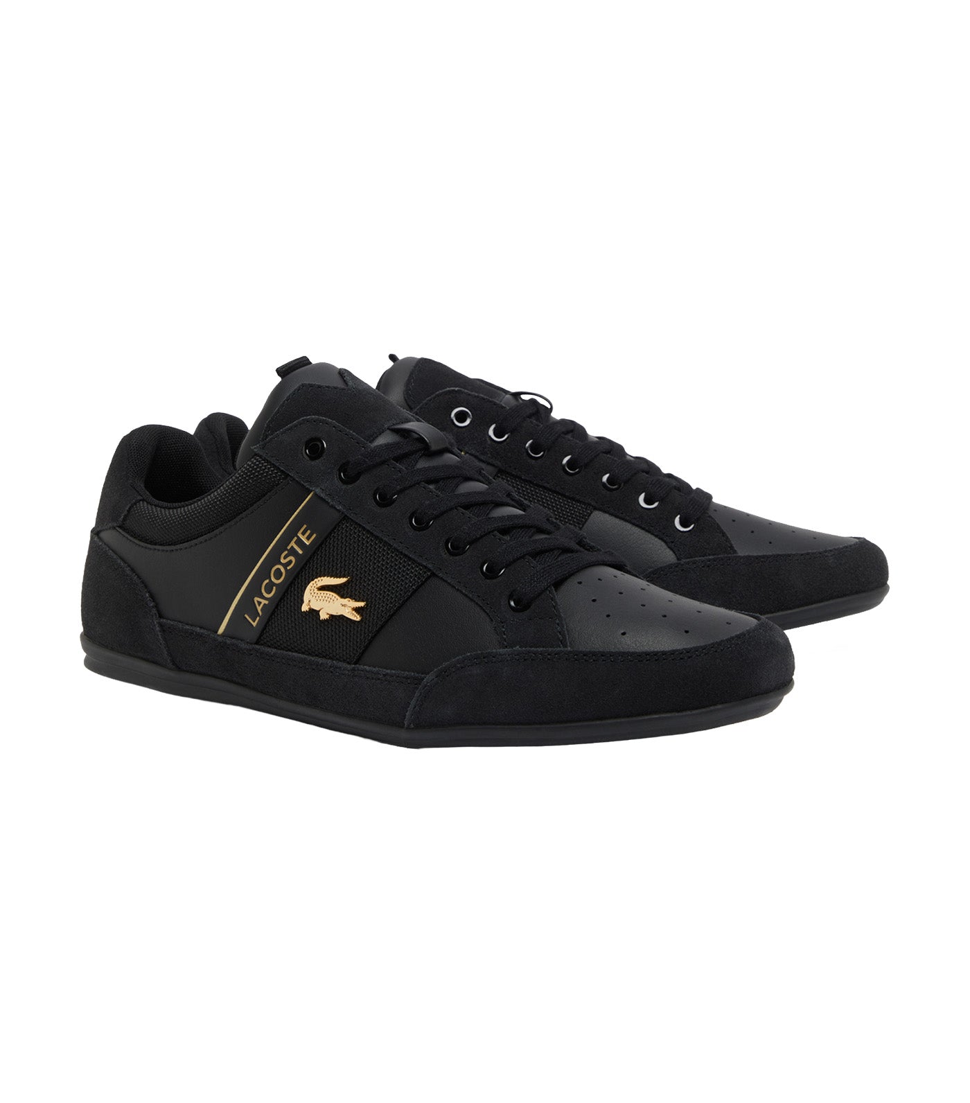 Men's Chaymon Suede Sneakers Black/Gold