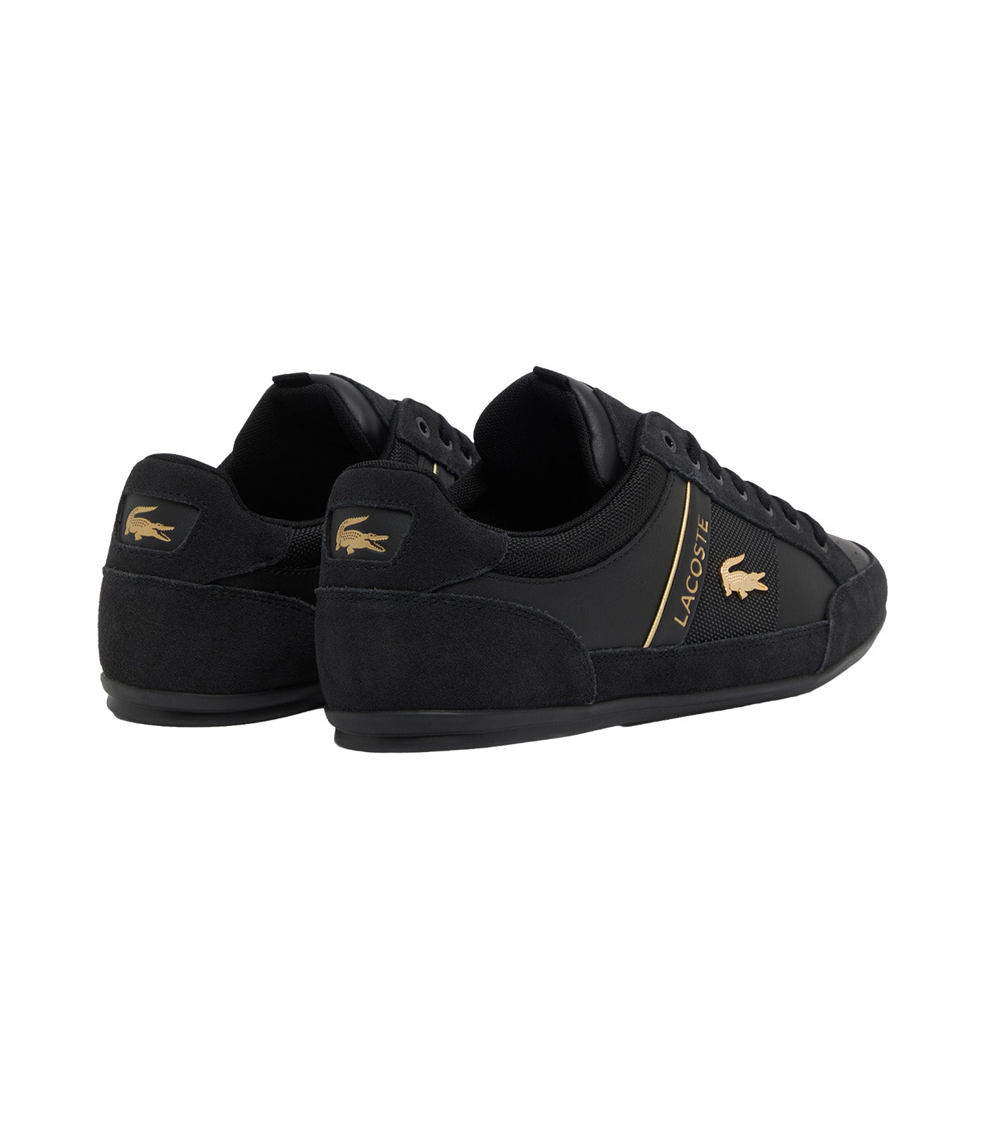 Men's Chaymon Suede Sneakers Black/Gold