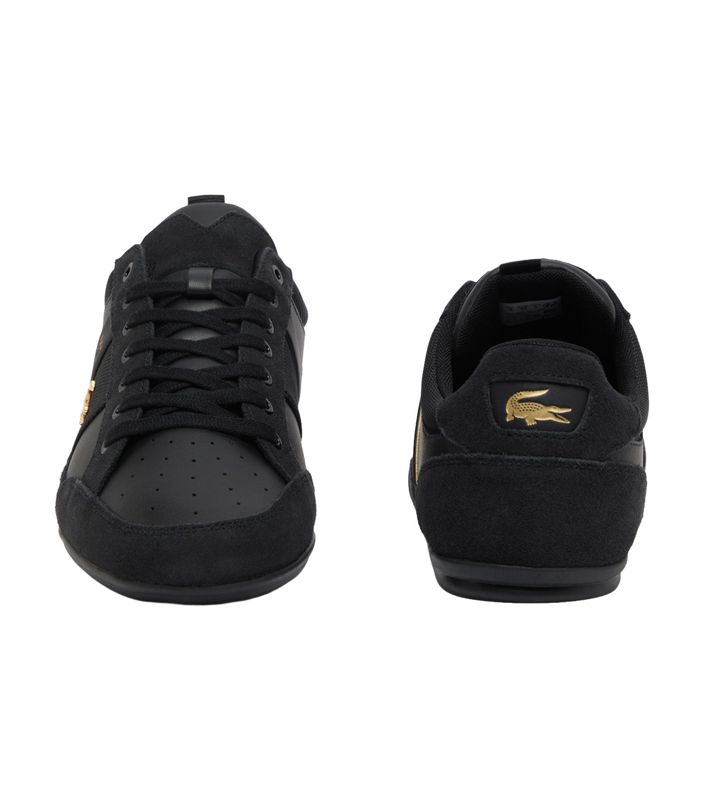 Men's Chaymon Suede Sneakers Black/Gold