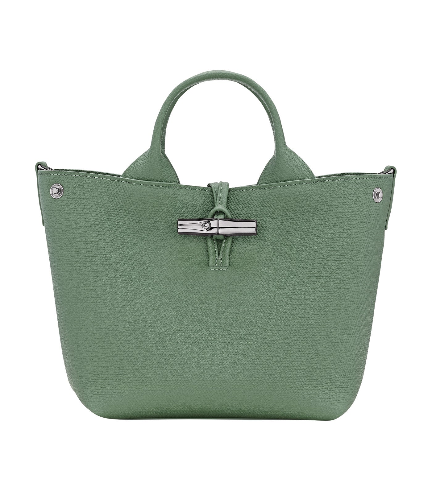 Le Roseau S Handbag
