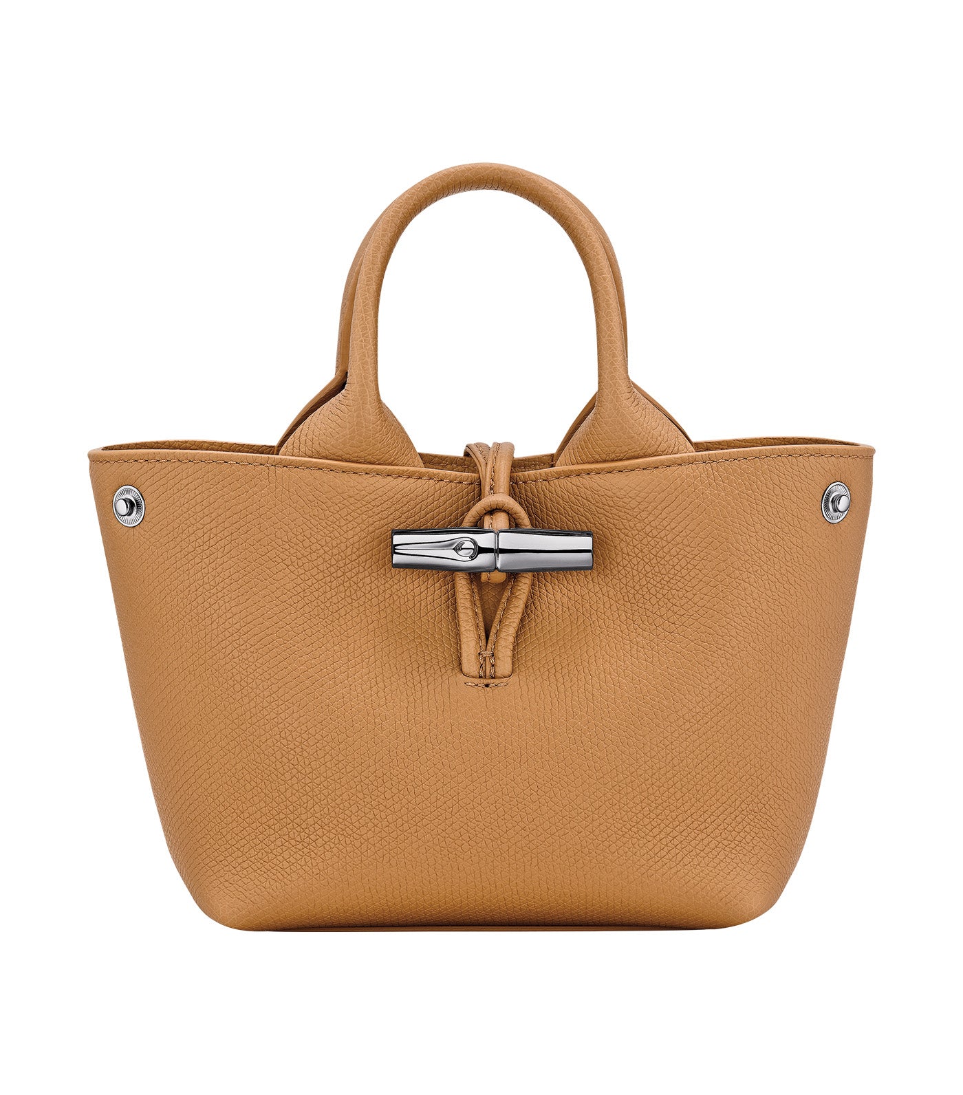Le Roseau Handbag XS