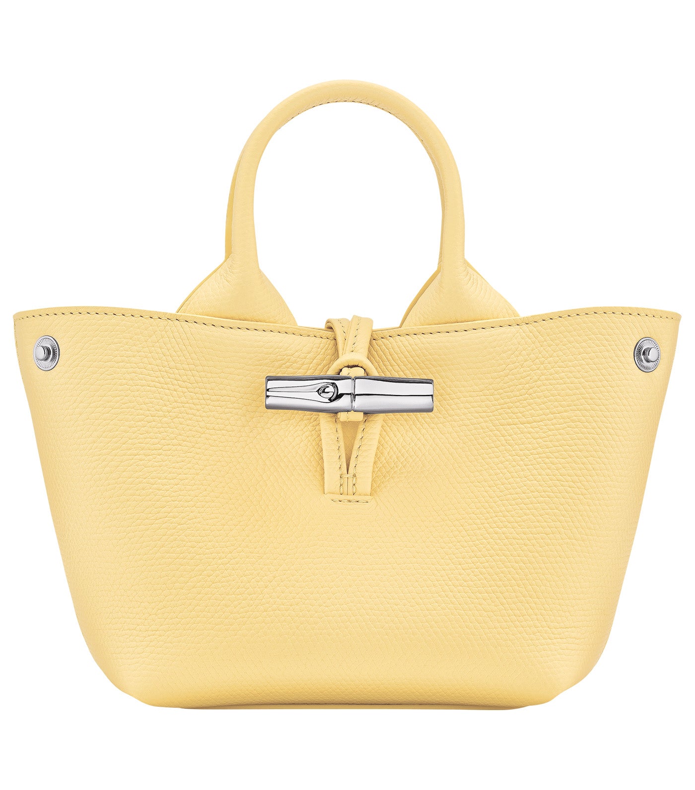Le Roseau Handbag