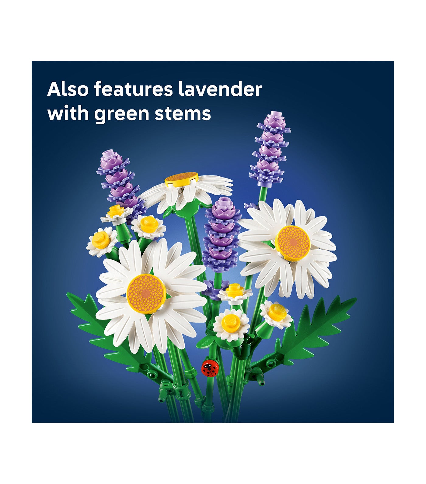 Botanicals Daisies