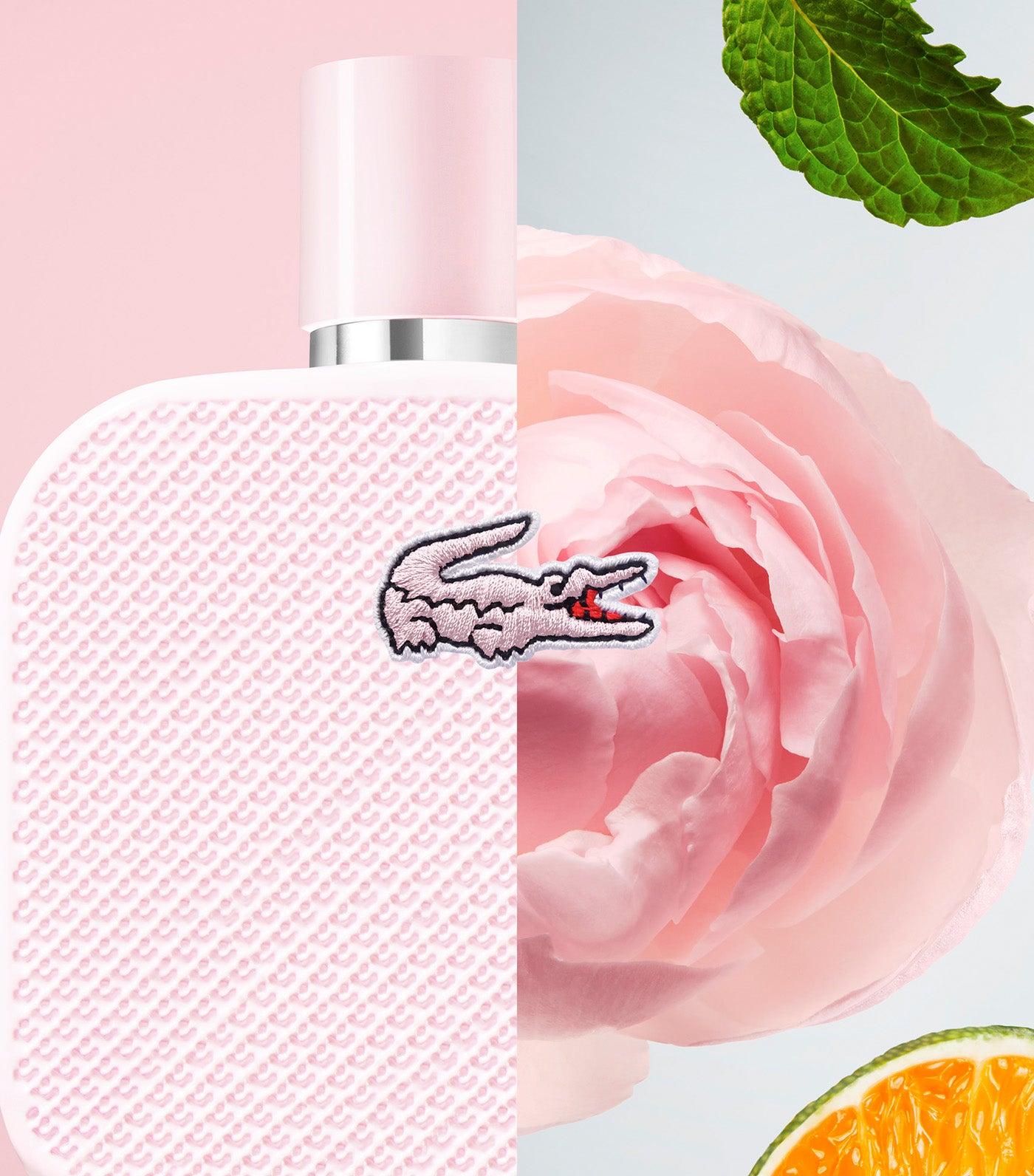 L.12.12 Rose Eau de Parfum