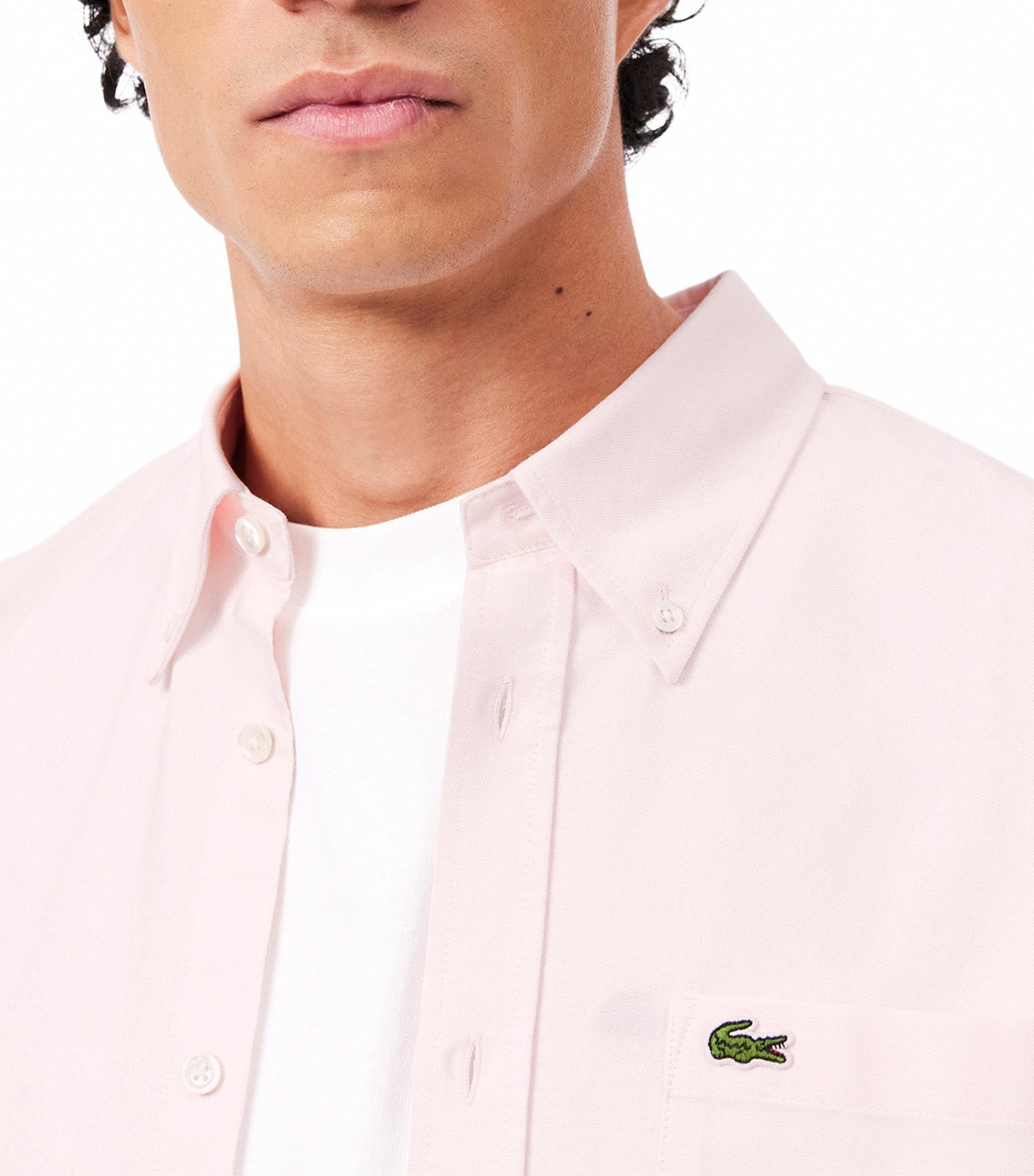 Oxford Button Down Shirt