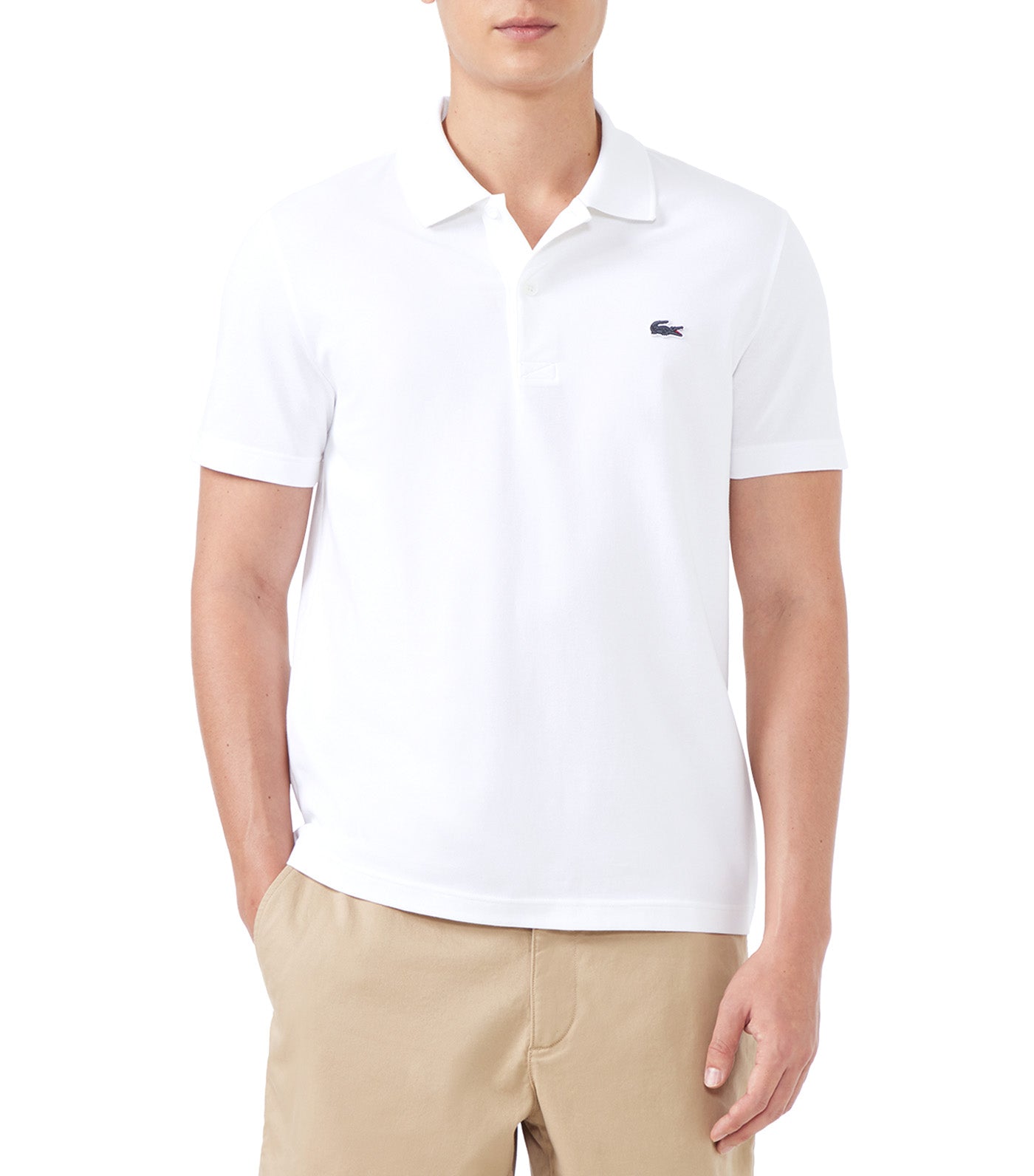 Regular Fit Cotton Polo Shirt