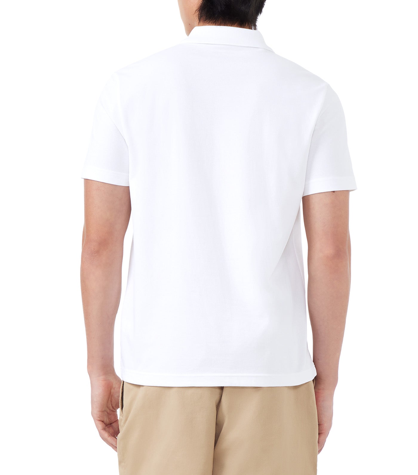 Regular Fit Cotton Polo Shirt