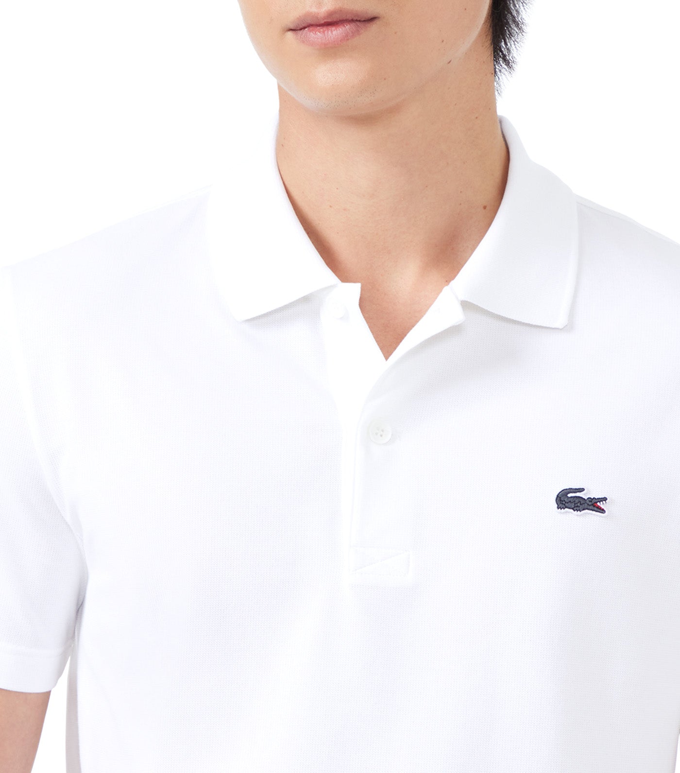 Regular Fit Cotton Polo Shirt