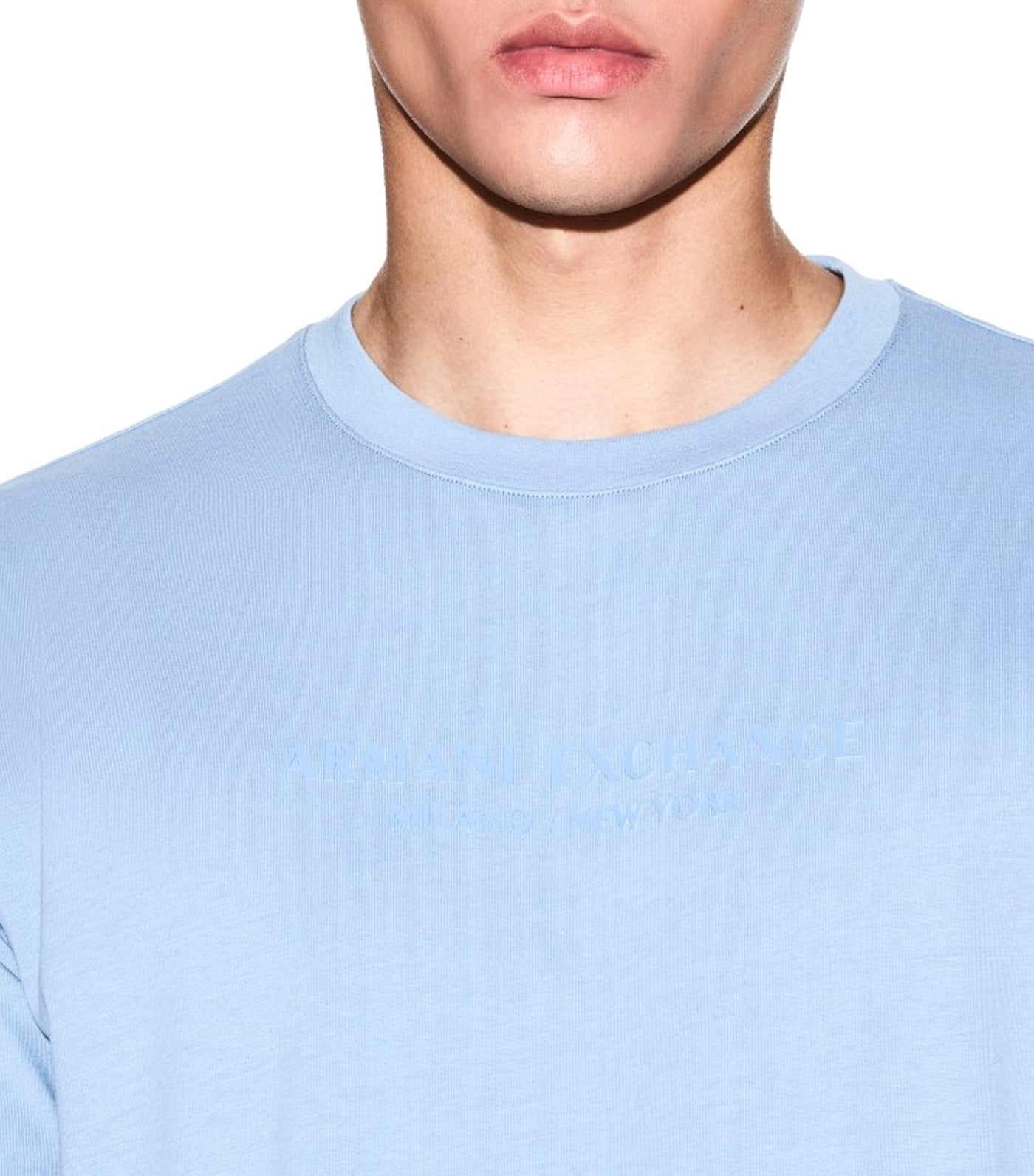 Regular Fit T-Shirt with Logo Faded Denim