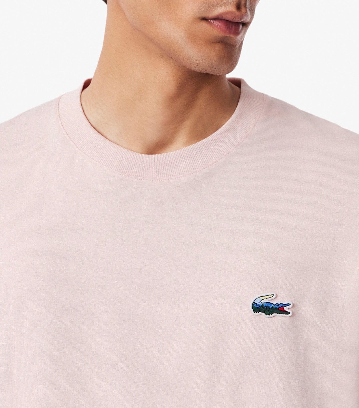 Lacoste Heavy Jersey Landscape Crocodile T-Shirt Nidus