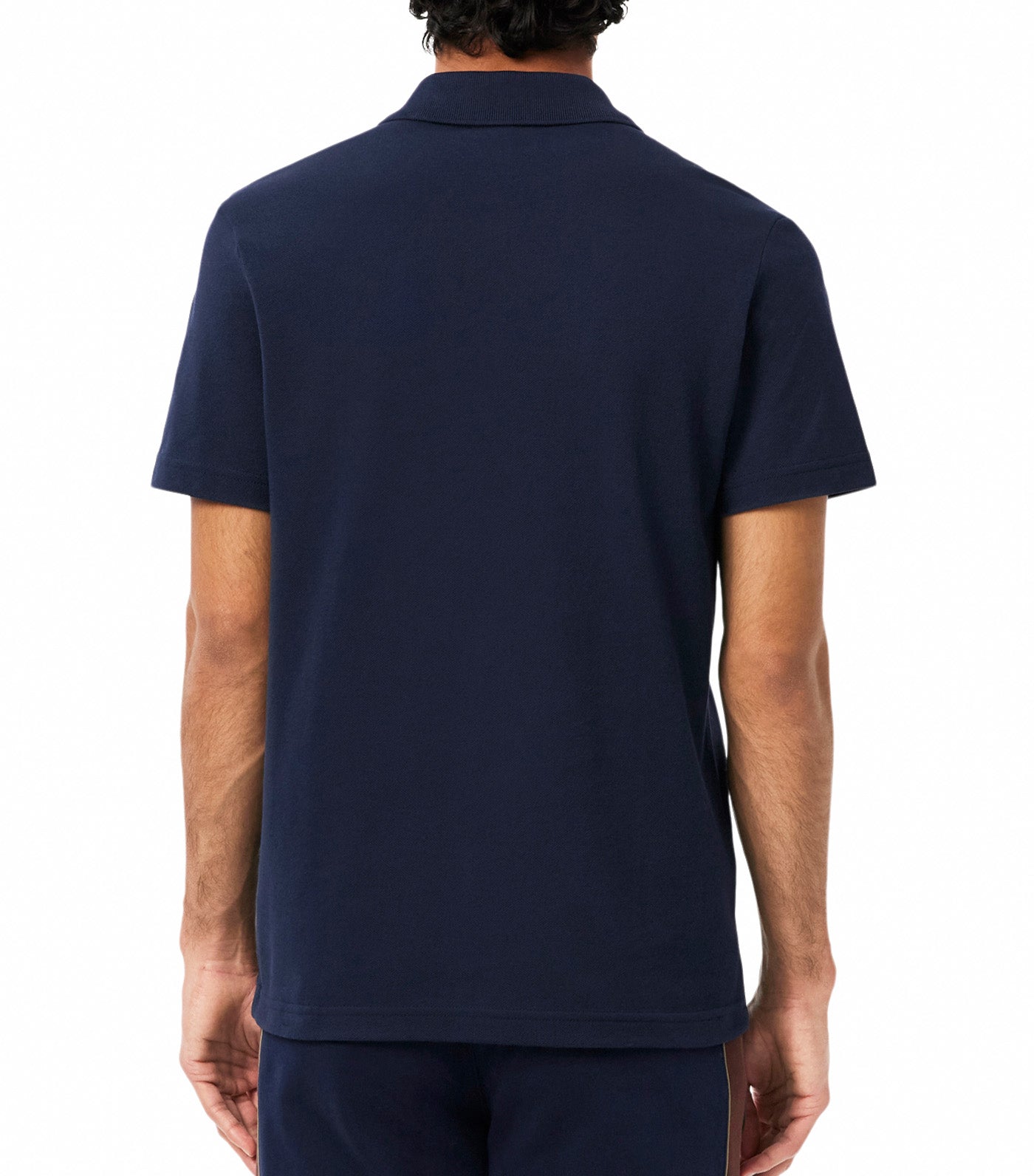 Regular Fit Color-Block Petit Piqué Polo Shirt