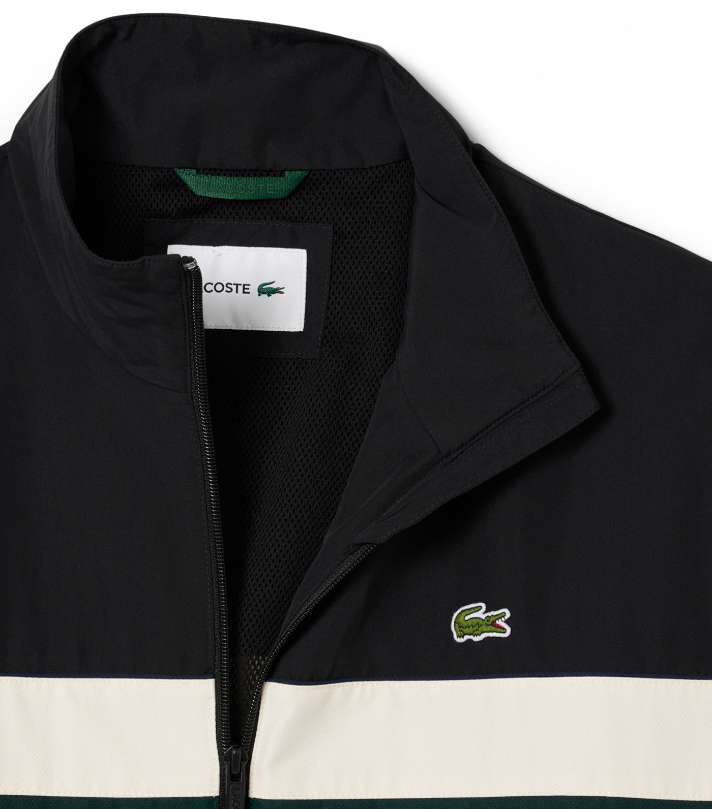 Regular Fit Color-Block Petit Piqué Polo Shirt