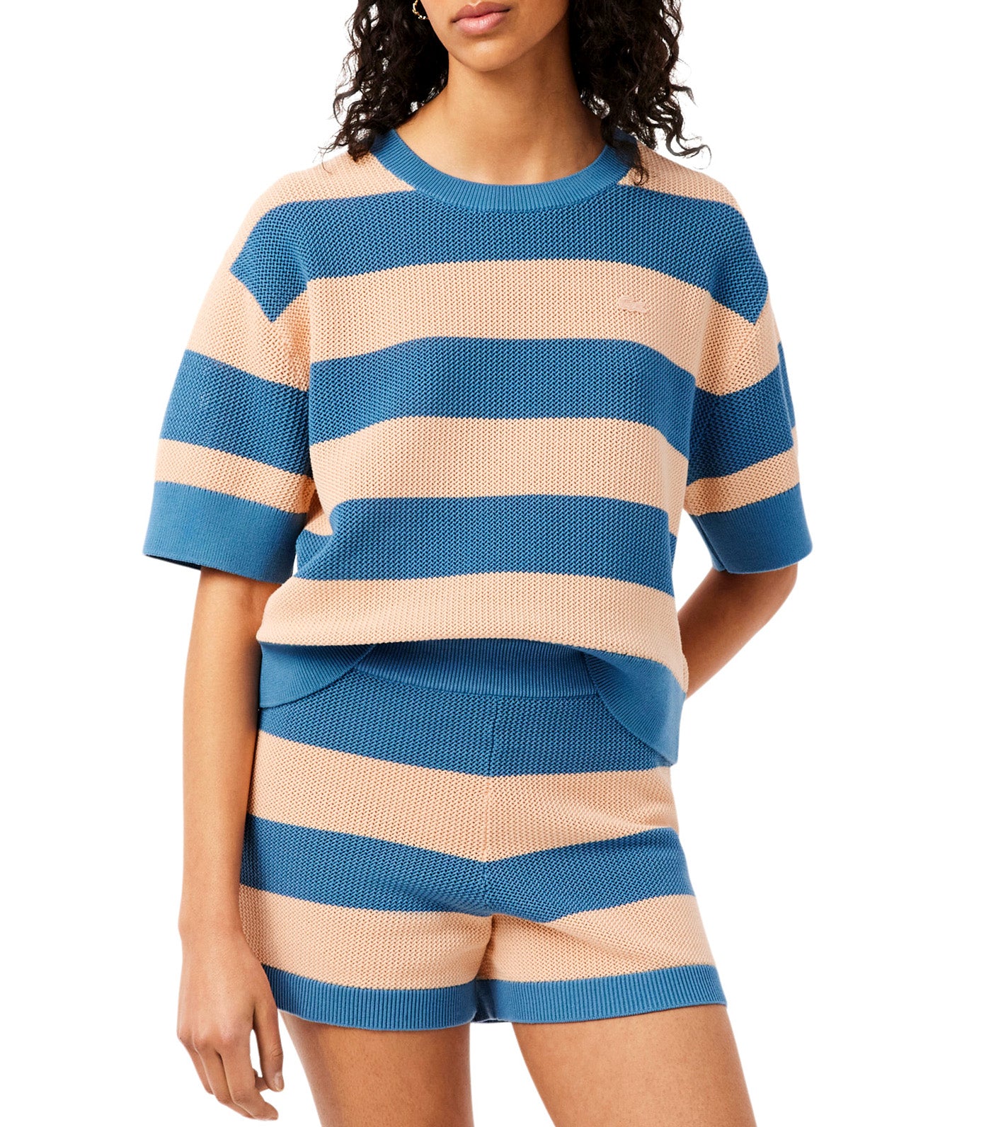 Striped Mesh Knit T-Shirt