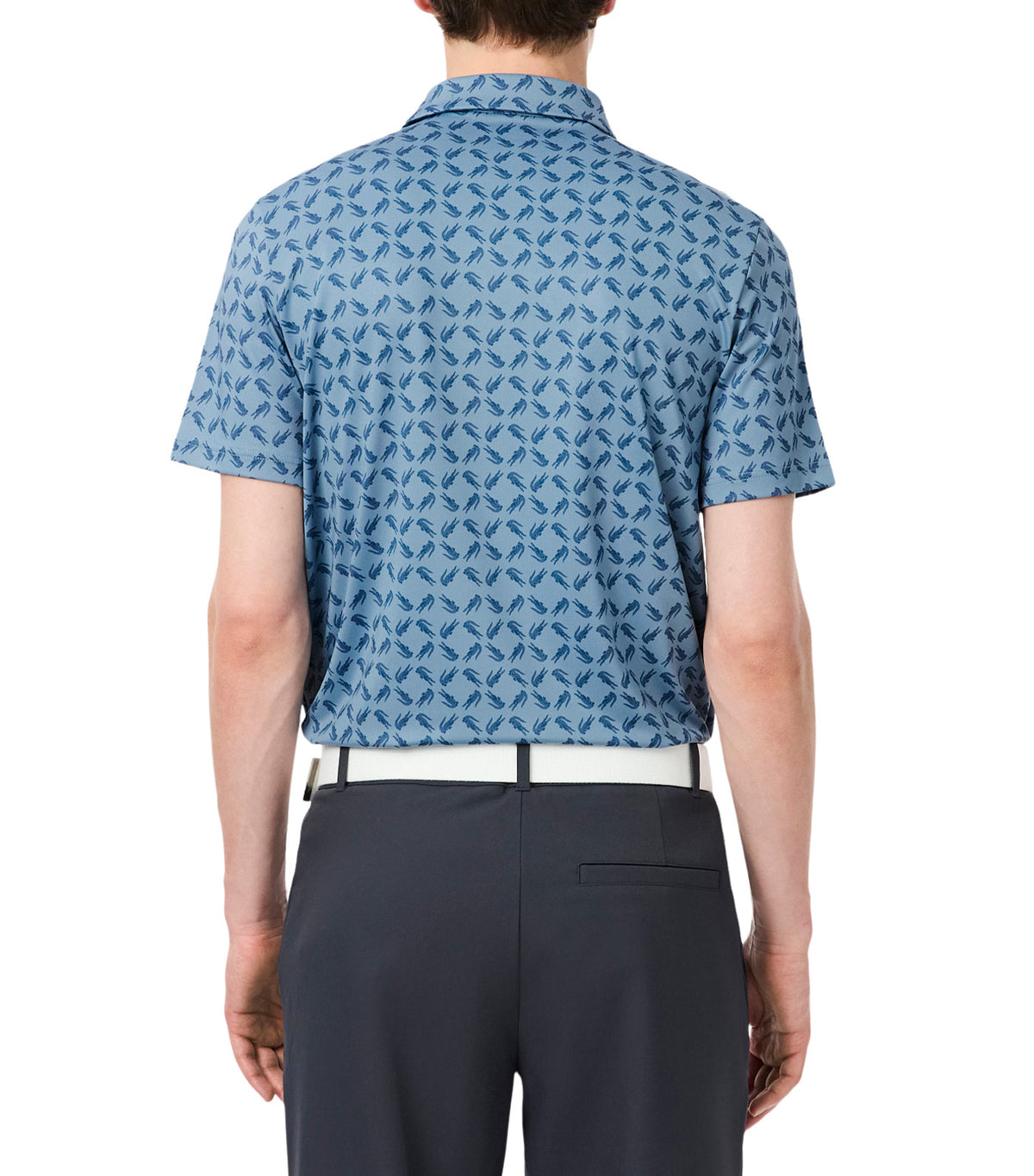 Regular Fit Printed Golf Polo Shirt Aral/Astral