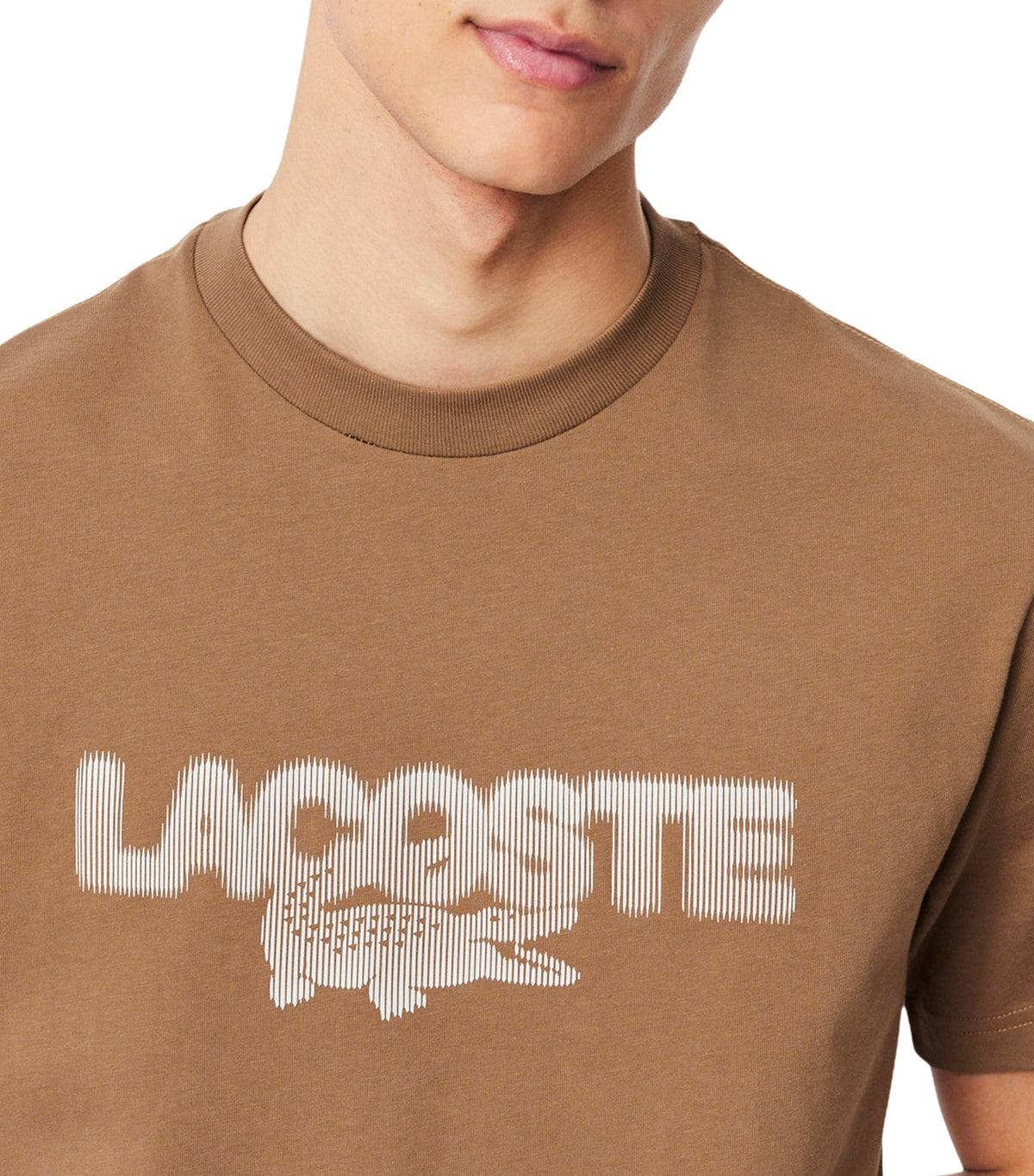 Printed Cotton Jersey T-Shirt Cookie