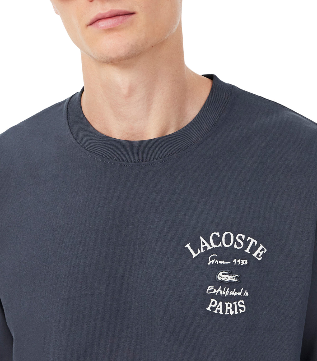 Relaxed Fit Long Sleeved Embroidered T-Shirt Graphite