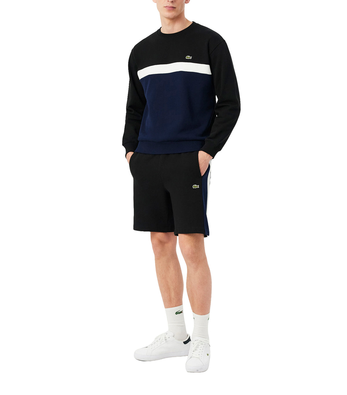 Regular Fit Color-Block Cotton Shorts Black/Navy Blue