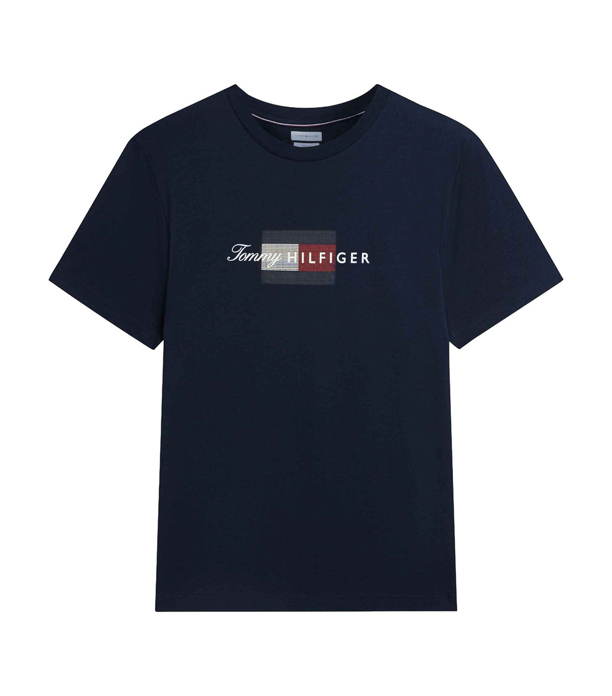 Men's Script Flag Regular Tee Desert Sky
