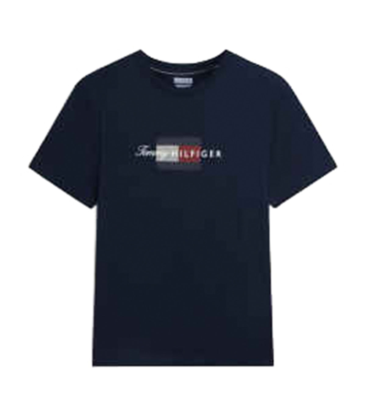 Men's Script Flag Regular Tee Desert Sky