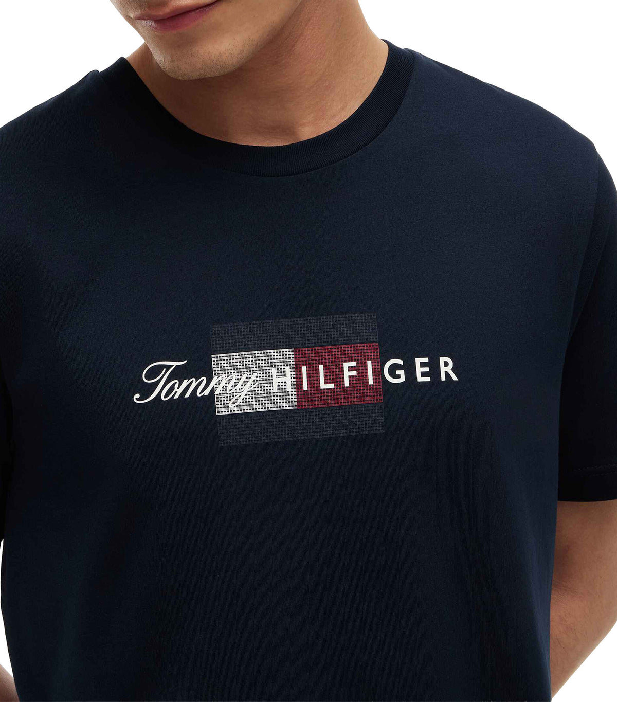 Men's Script Flag Regular Tee Desert Sky