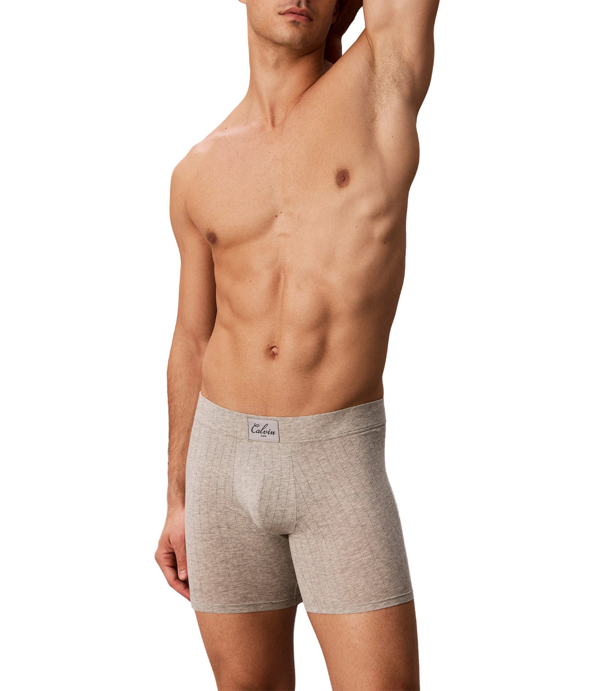 Trunk Gray Heather