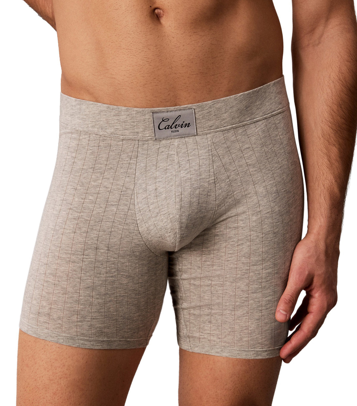 Trunk Gray Heather
